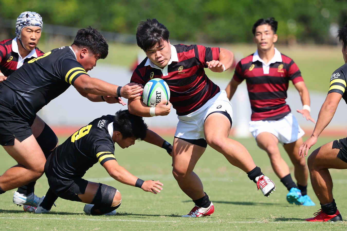 【関東大学対抗戦】早稲田大が青山学院大に10トライで完封勝利。大田尾監督「もう一段階、精度高く」