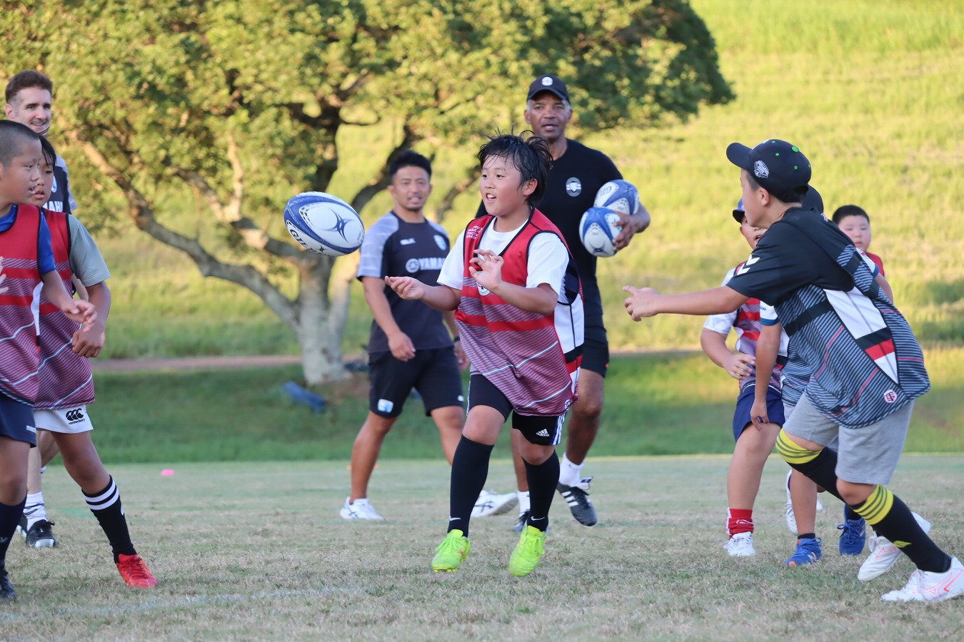 日野剛志が絶賛!TOP14・トゥールーズのコーチを招いた静岡ブルーレヴズ主催のアカデミーキャンプ、8月に開催。