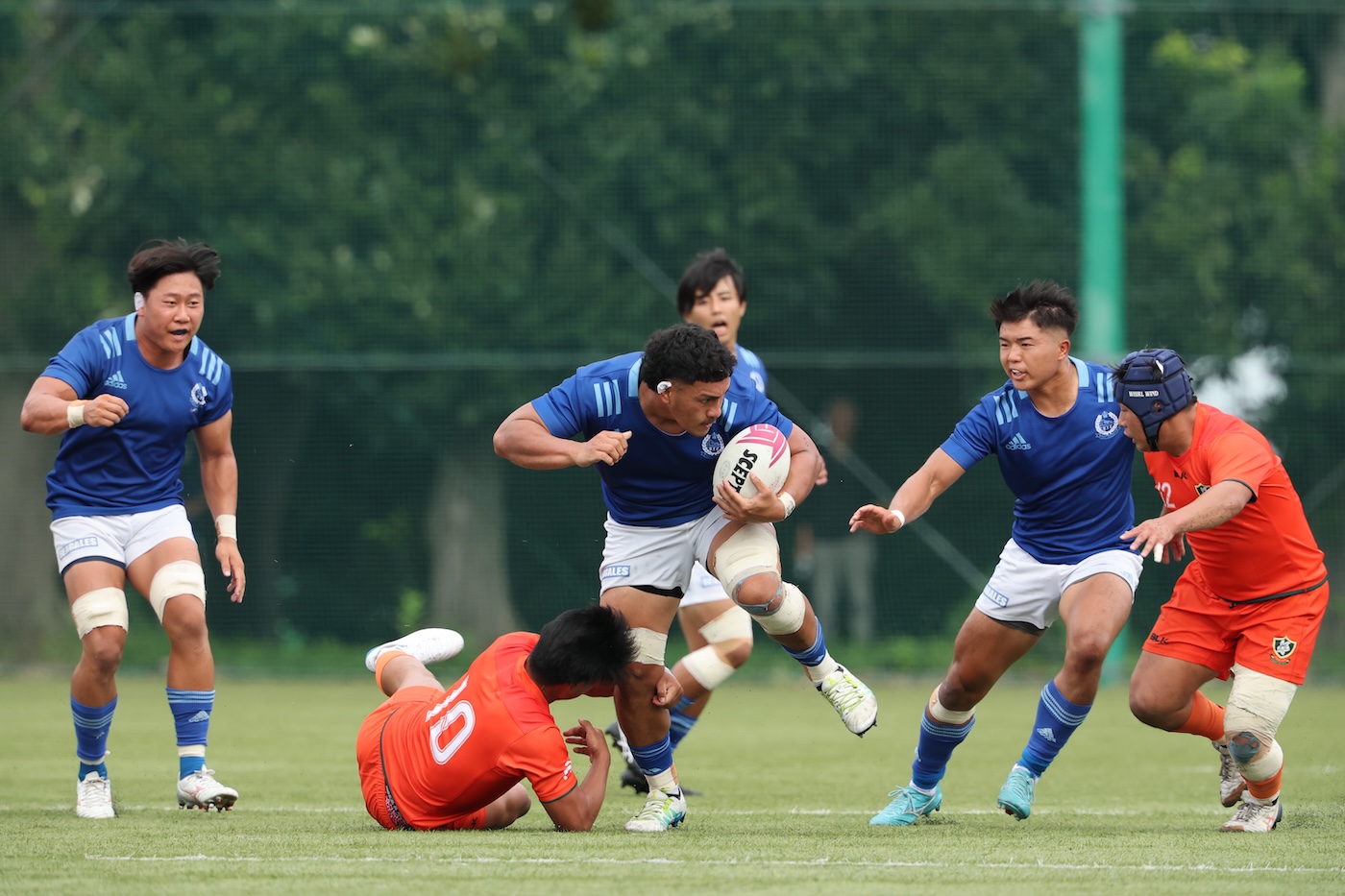 【関東大学リーグ戦】東海大が8トライをあげて開幕勝利。立正大をノートライに抑える