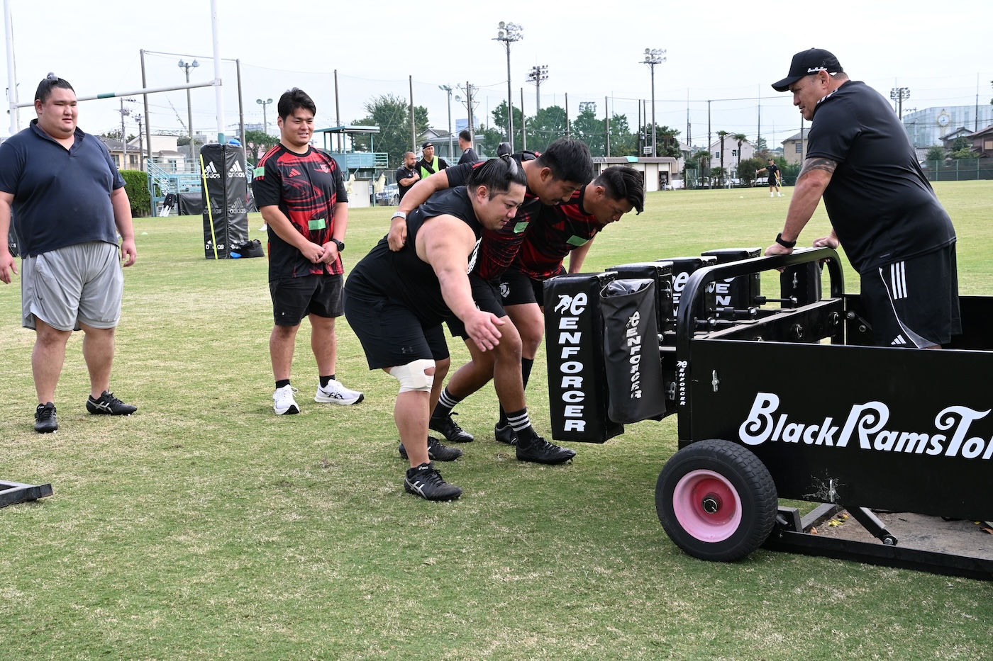 リコーブラックラムズ東京、中村部屋の力士と合同練習。土俵の知恵、スクラムに通ず
