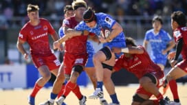 金髪で事務作業も。明大日本一を知る朝長駿、レッドドルフィンズを「前に進める」。