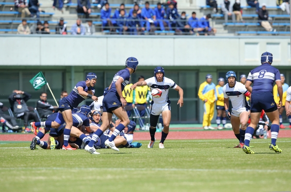 桐蔭学園、センバツ連覇。決勝で大阪桐蔭を下す